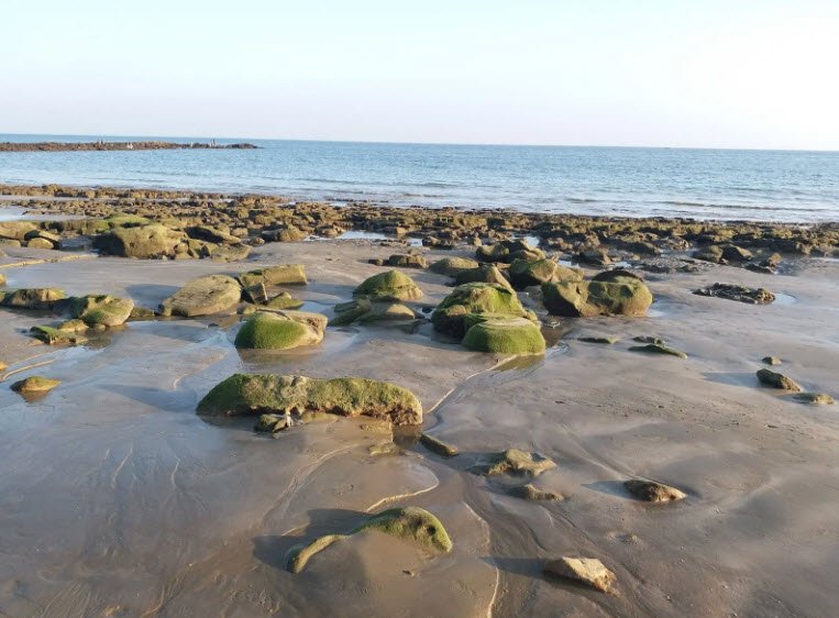 Surbandar Beachside , , Pakistan